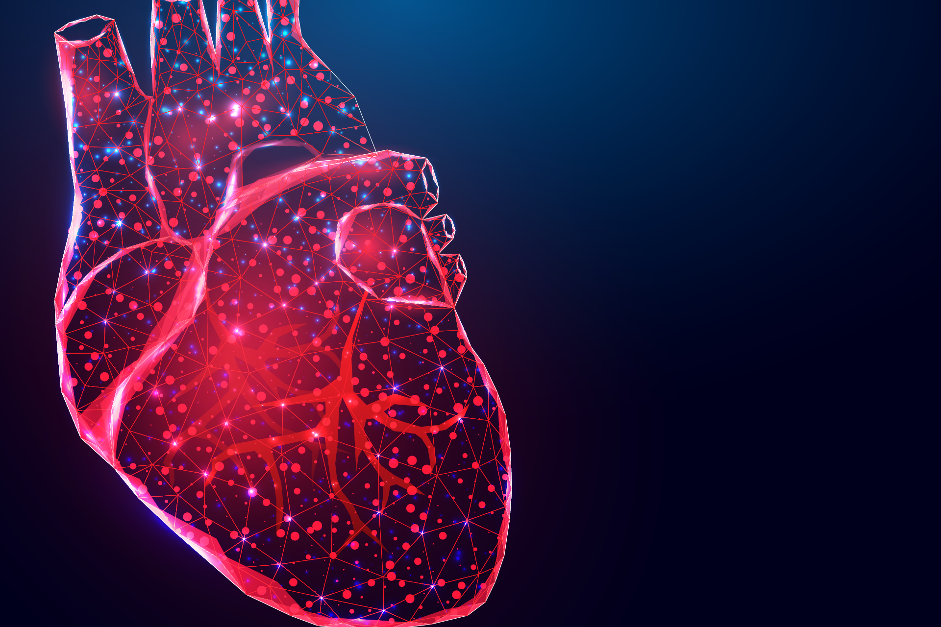 A stylized illustration of a human heart