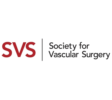 SVS logo resized