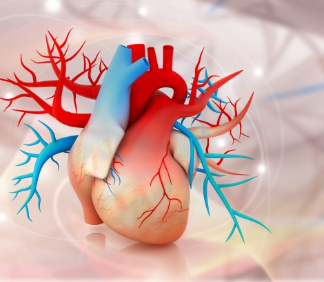 Human heart on abstract background.jpg